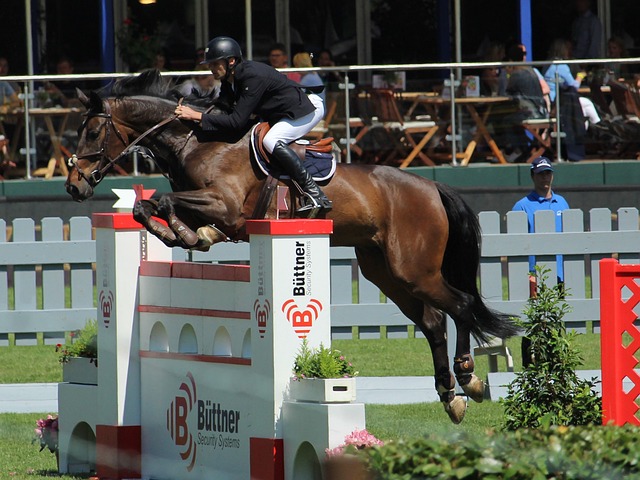 像鹈鹕这样 像鹈鹕这样