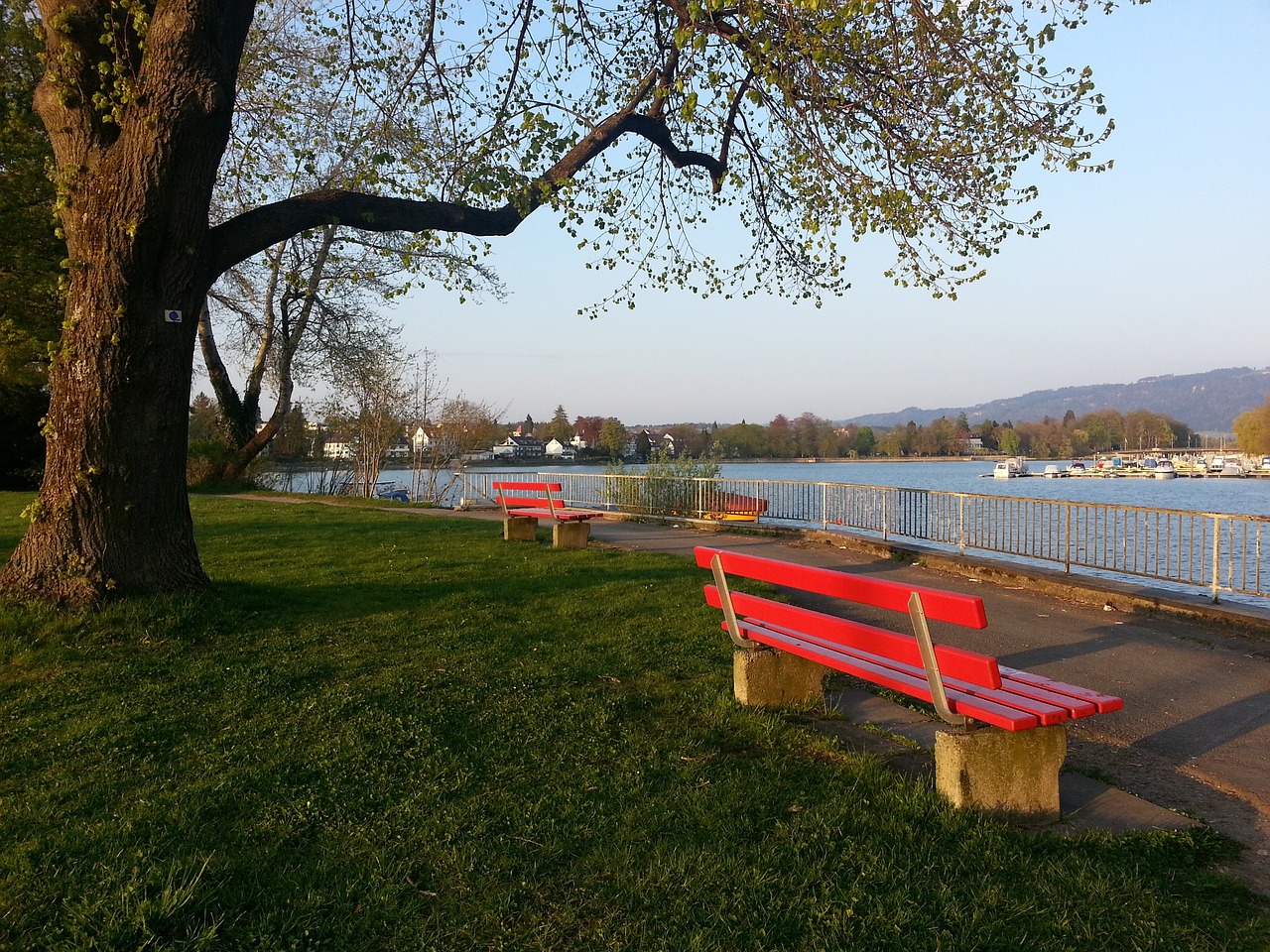 游客的入境 游客的入境