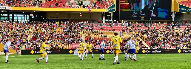 报复性观赛 报复性观赛