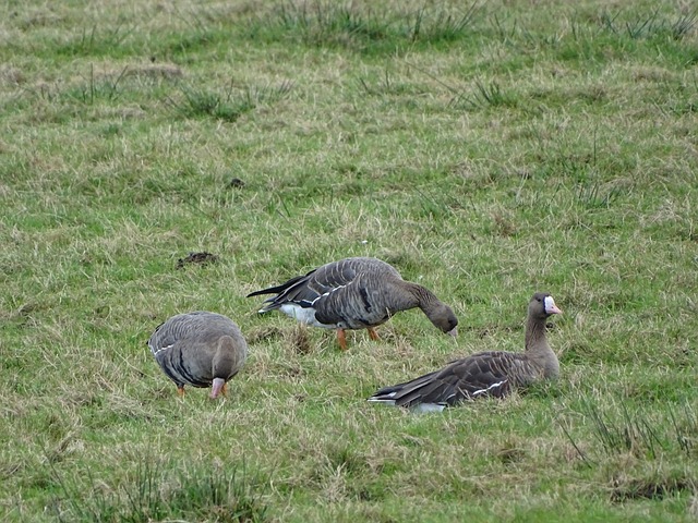 创造空间 创造空间