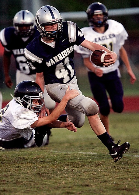 的体系中 的体系中